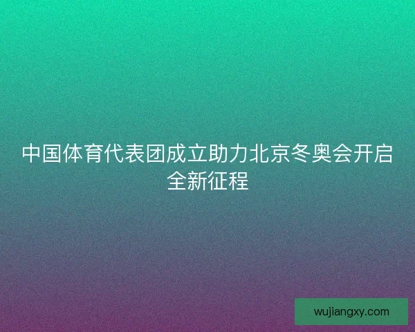 中国体育代表团成立助力北京冬奥会开启全新征程