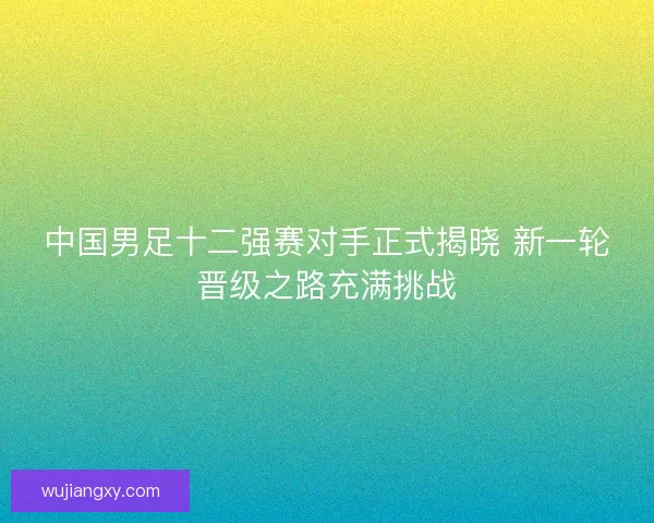 中国男足十二强赛对手正式揭晓 新一轮晋级之路充满挑战