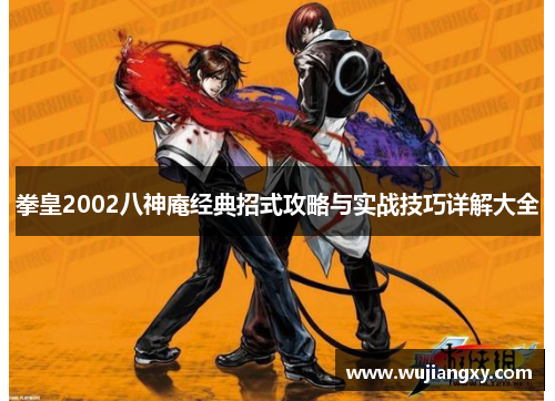 拳皇2002八神庵经典招式攻略与实战技巧详解大全